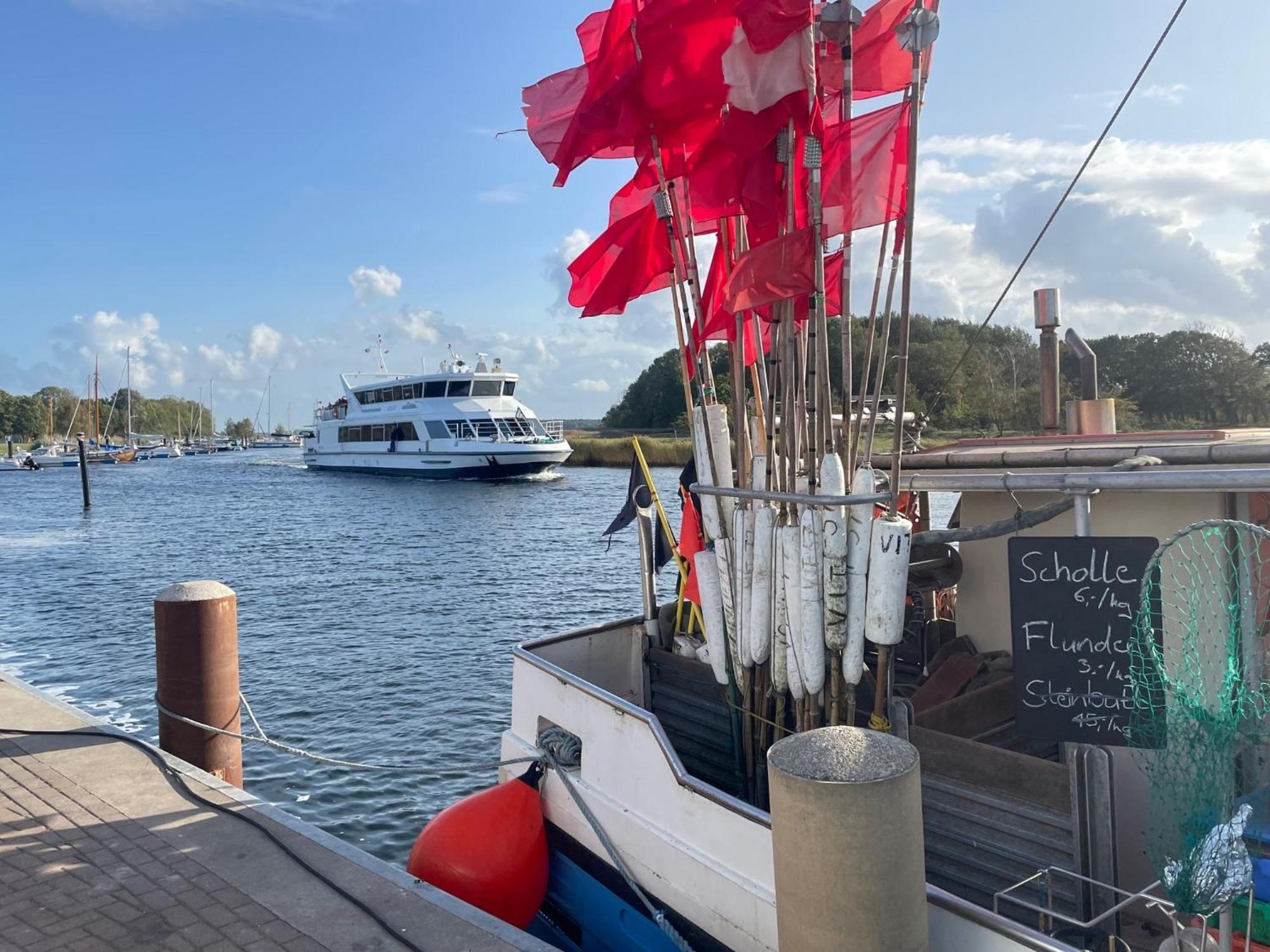 Reetferienhaus - Schaprode Hafen エクステリア 写真